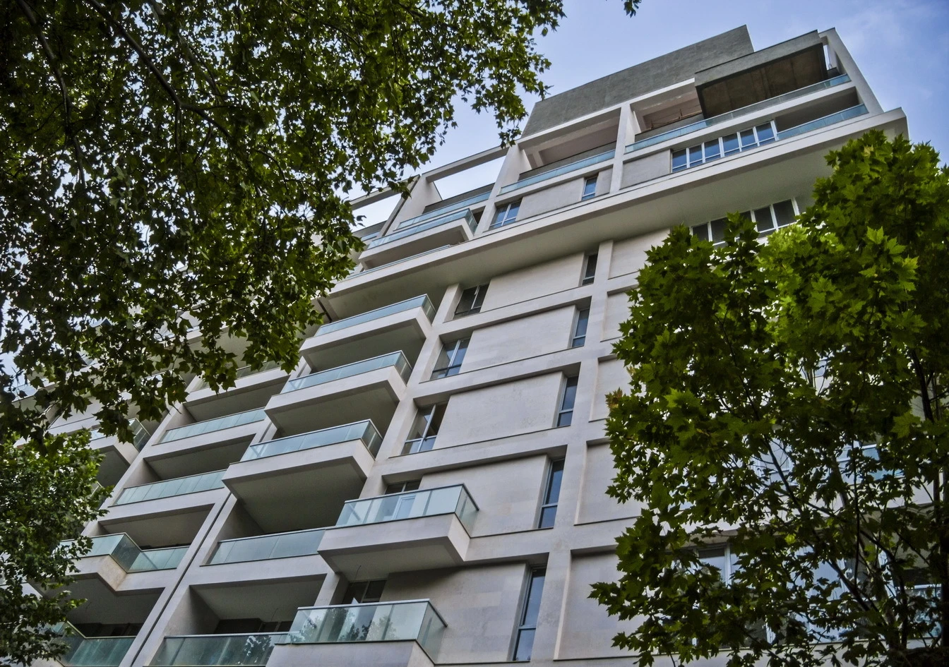 აქსისი აბაშიძეზე