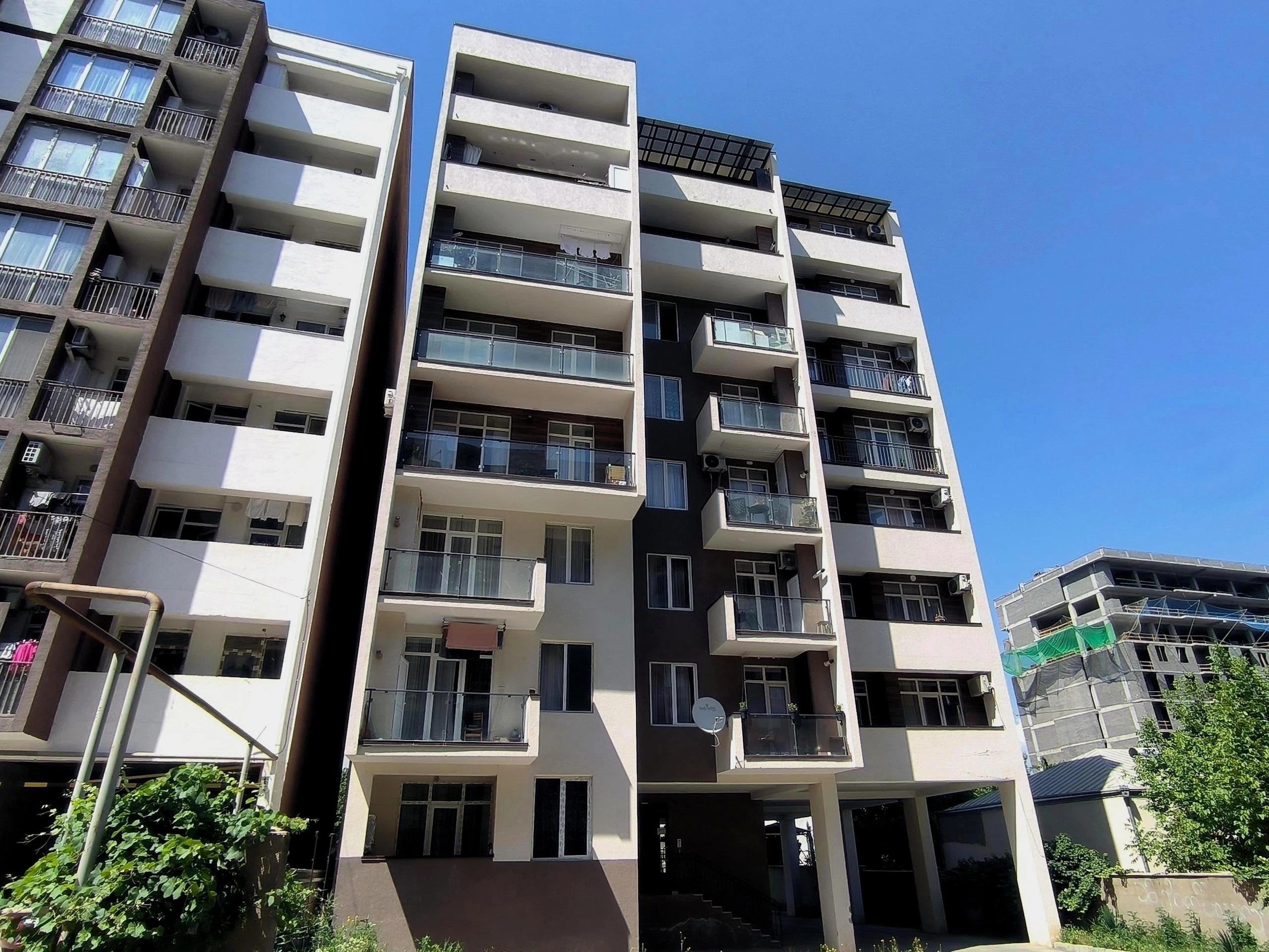 დავარის ქუჩა 19