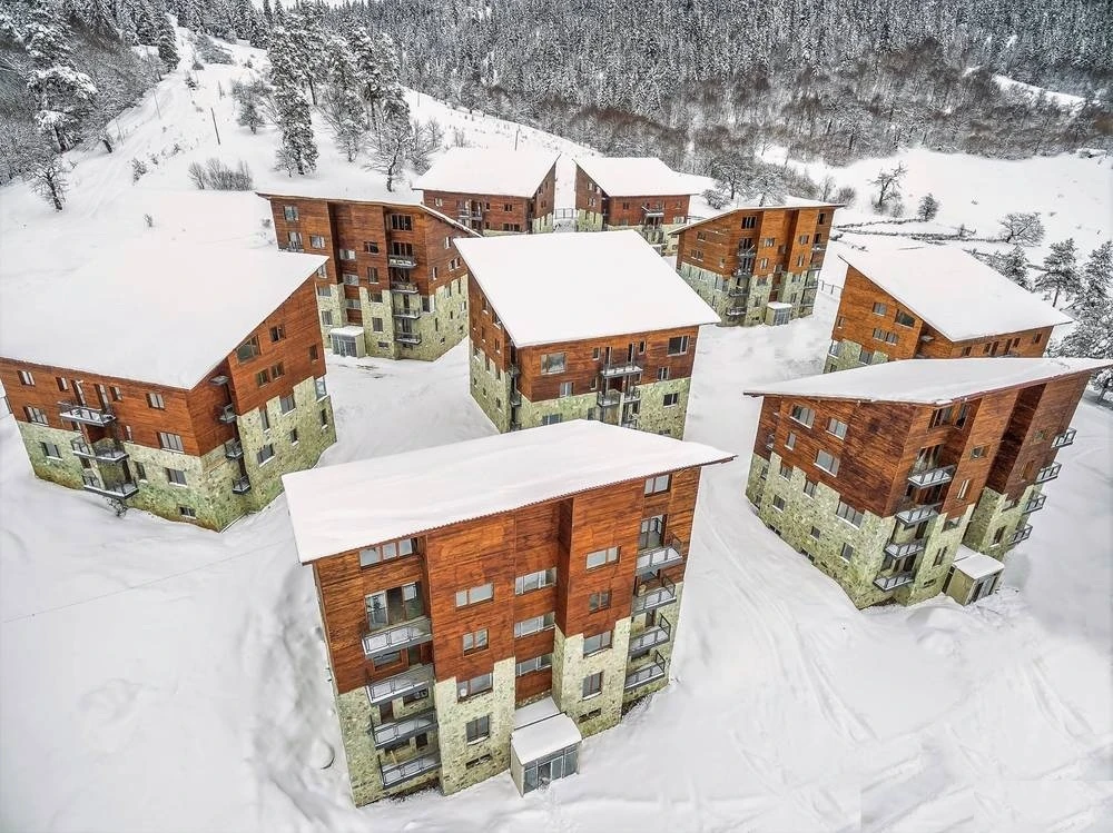 ვილა მონტე