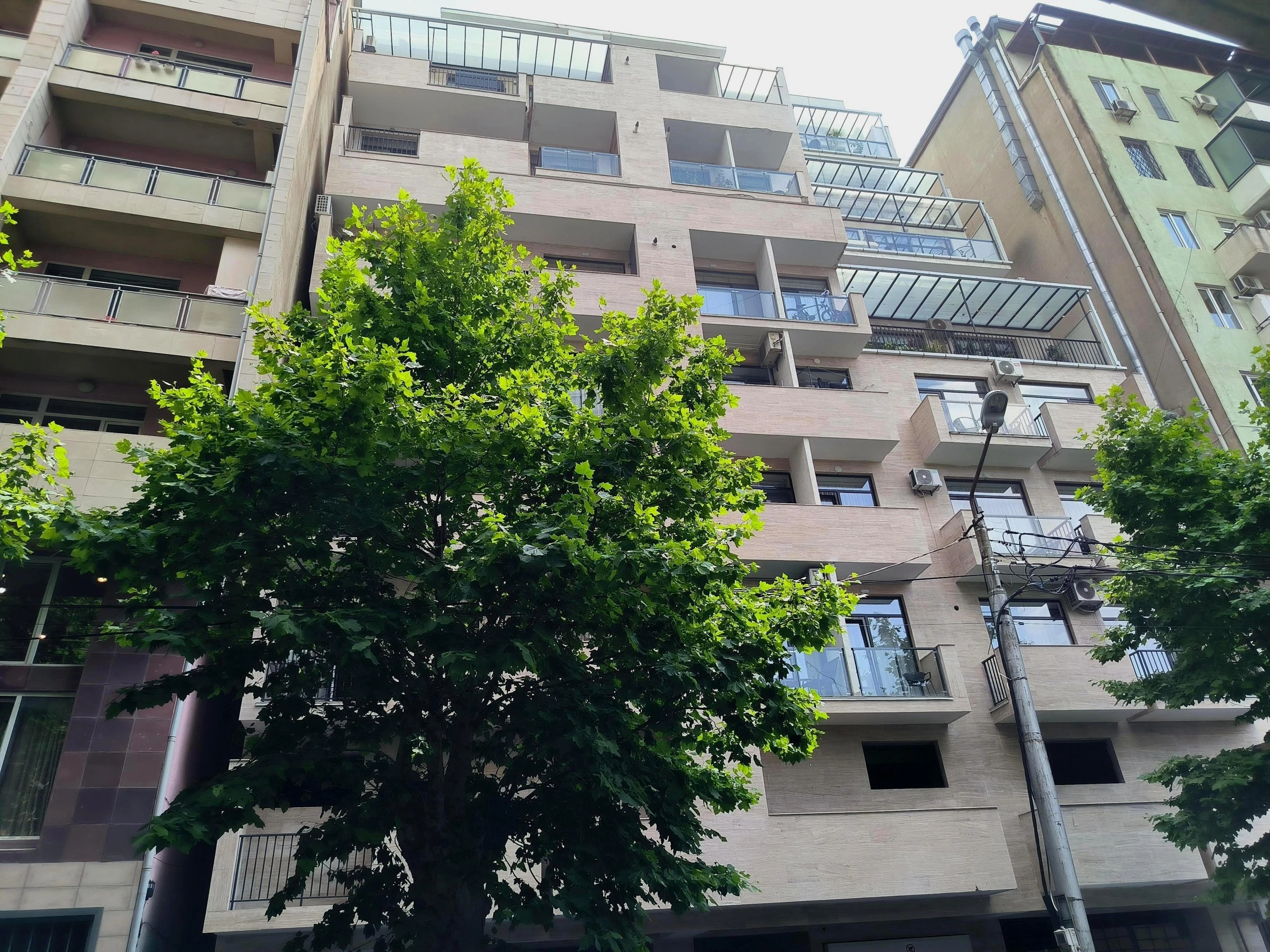 შროშის ქუჩა 8