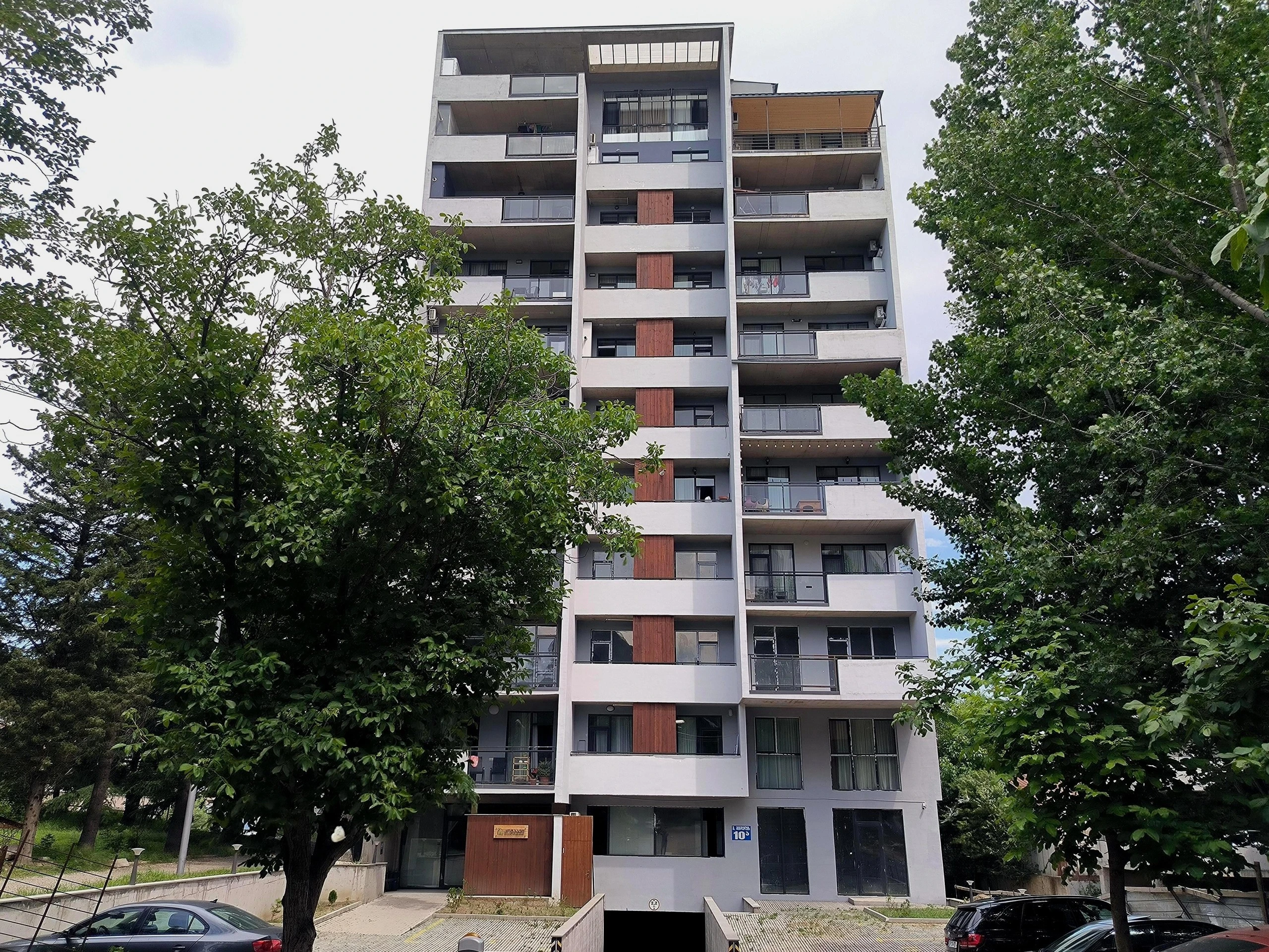 მინდელის ნაძვები