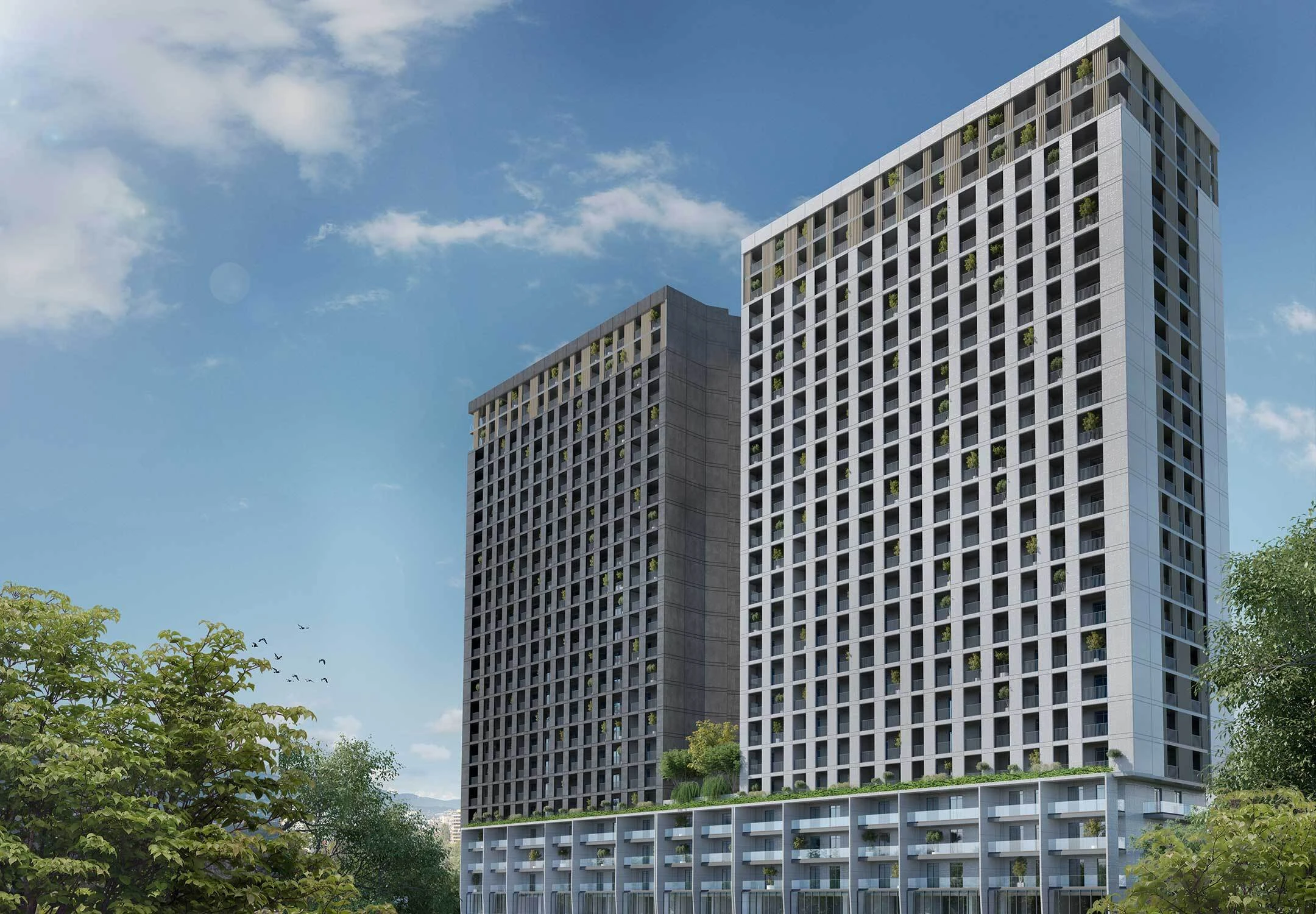 არქი დიღომი 3