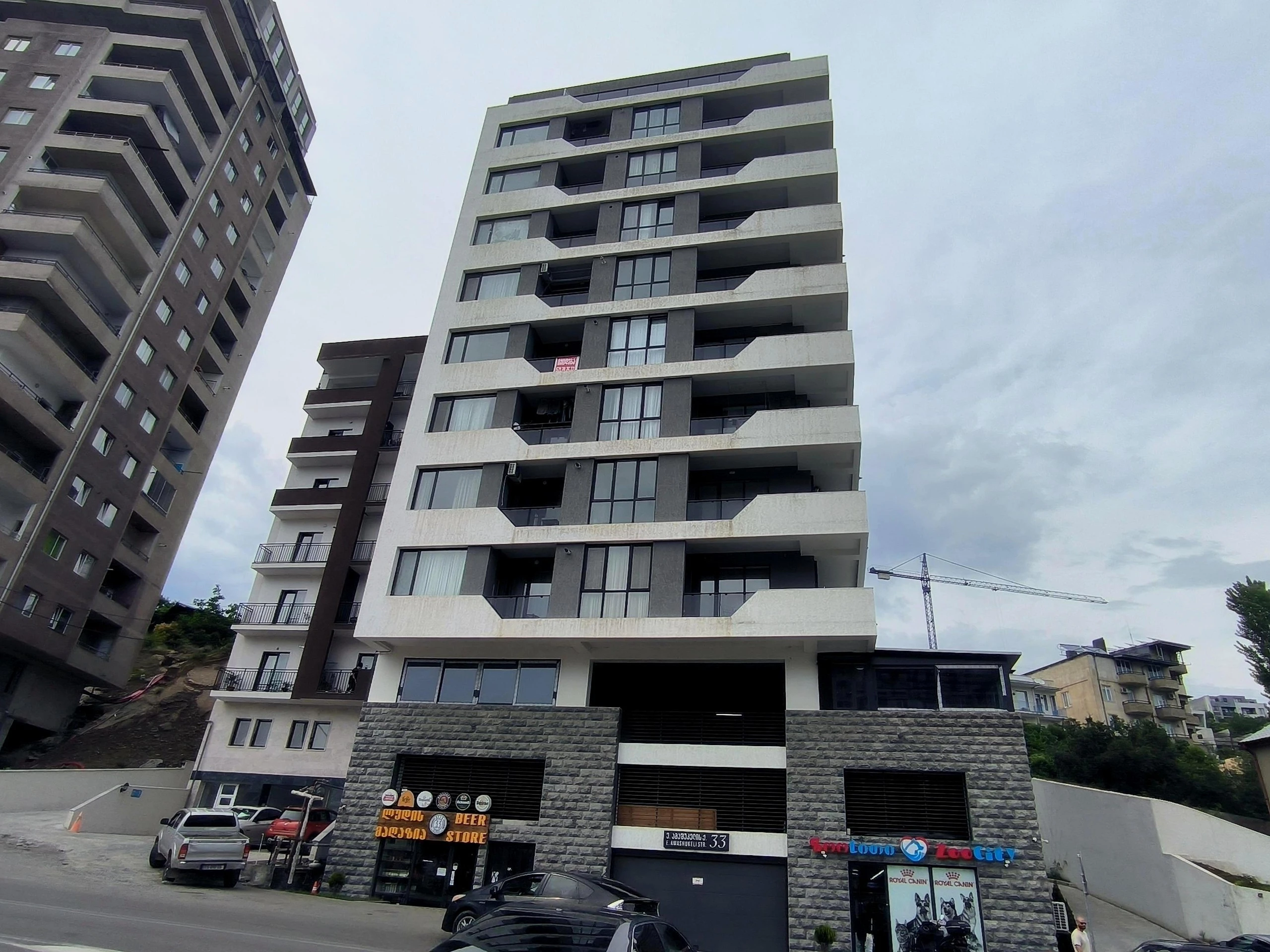 ელგუჯა ამაშუკელის ქუჩა 33