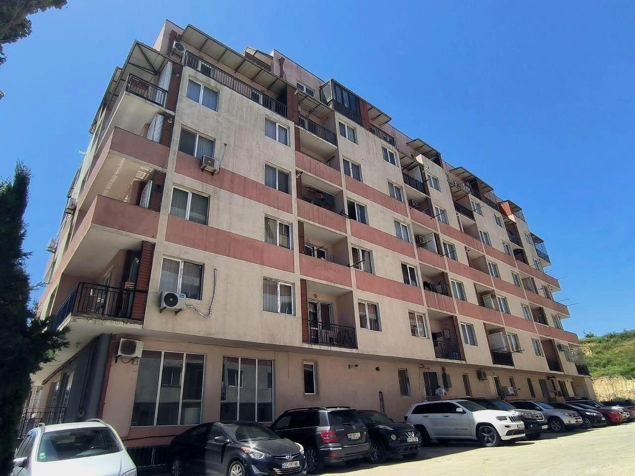 ეკო დიღომი 1