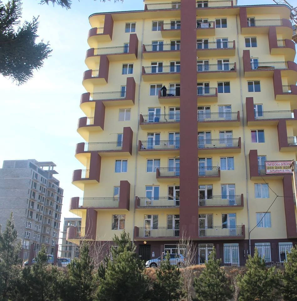 დიდი დიღმის ტყუპები