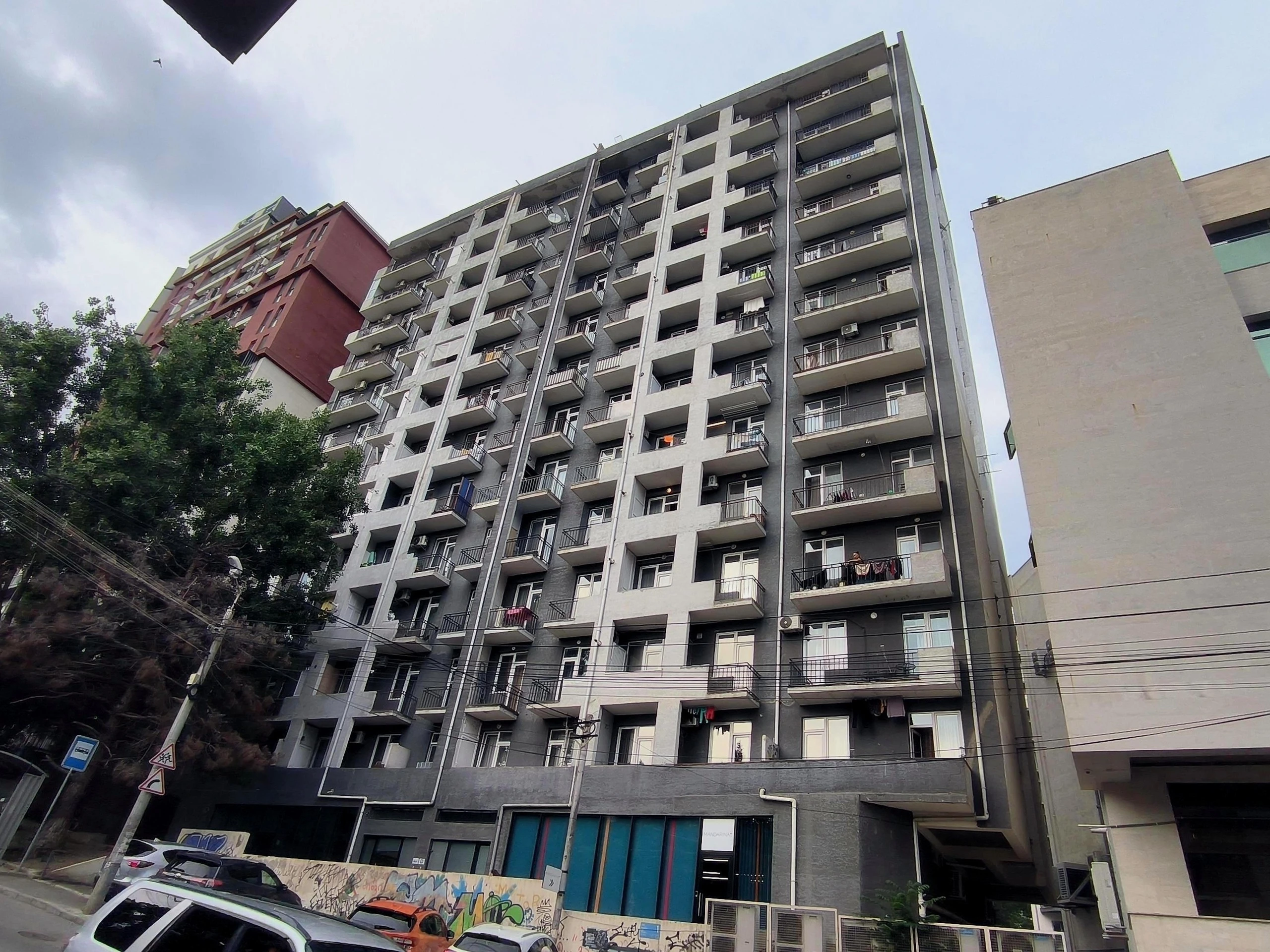 ბინადარი ნუცუბიძეზე