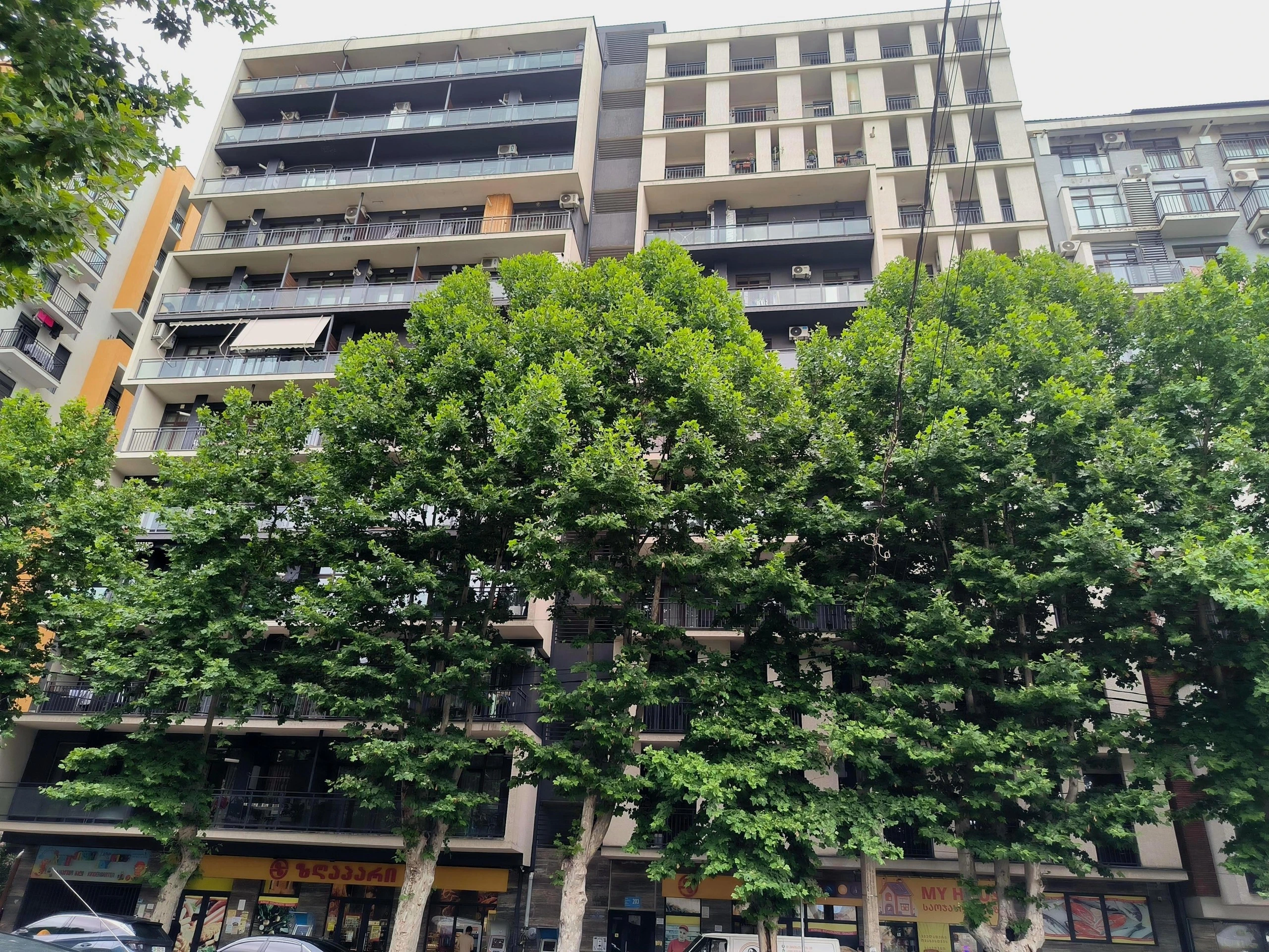 ცოტნე დადიანის ქუჩა 203