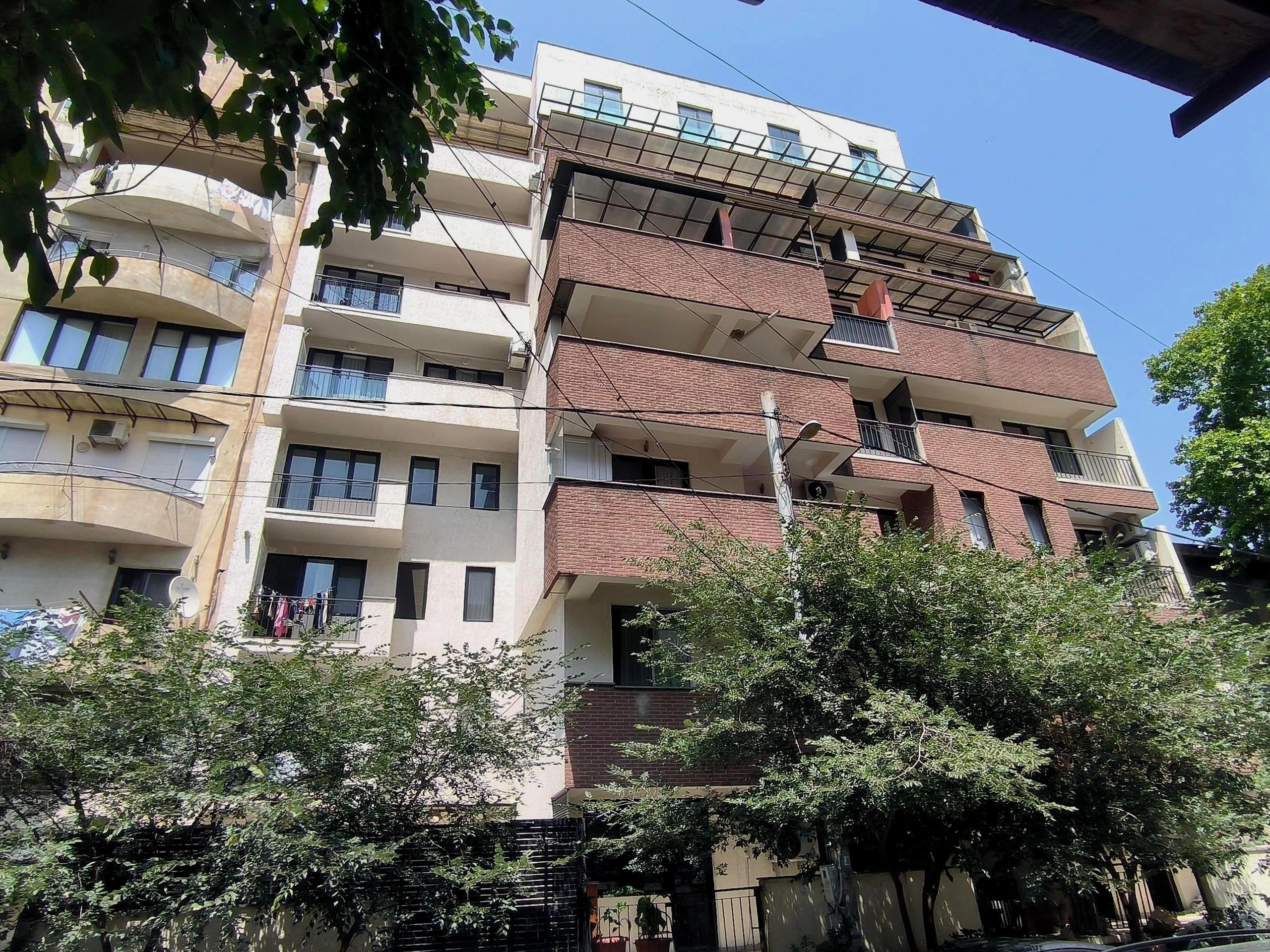 არქი ფალიაშვილი