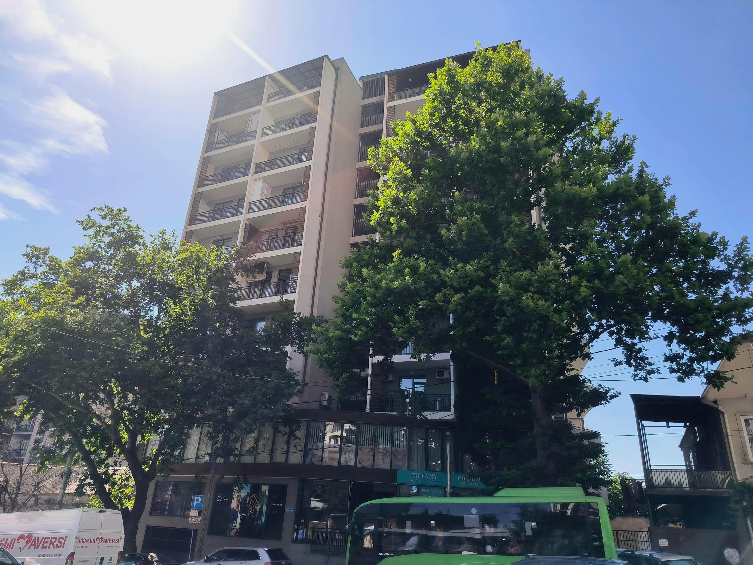 ნავთლუღის ქუჩა 33