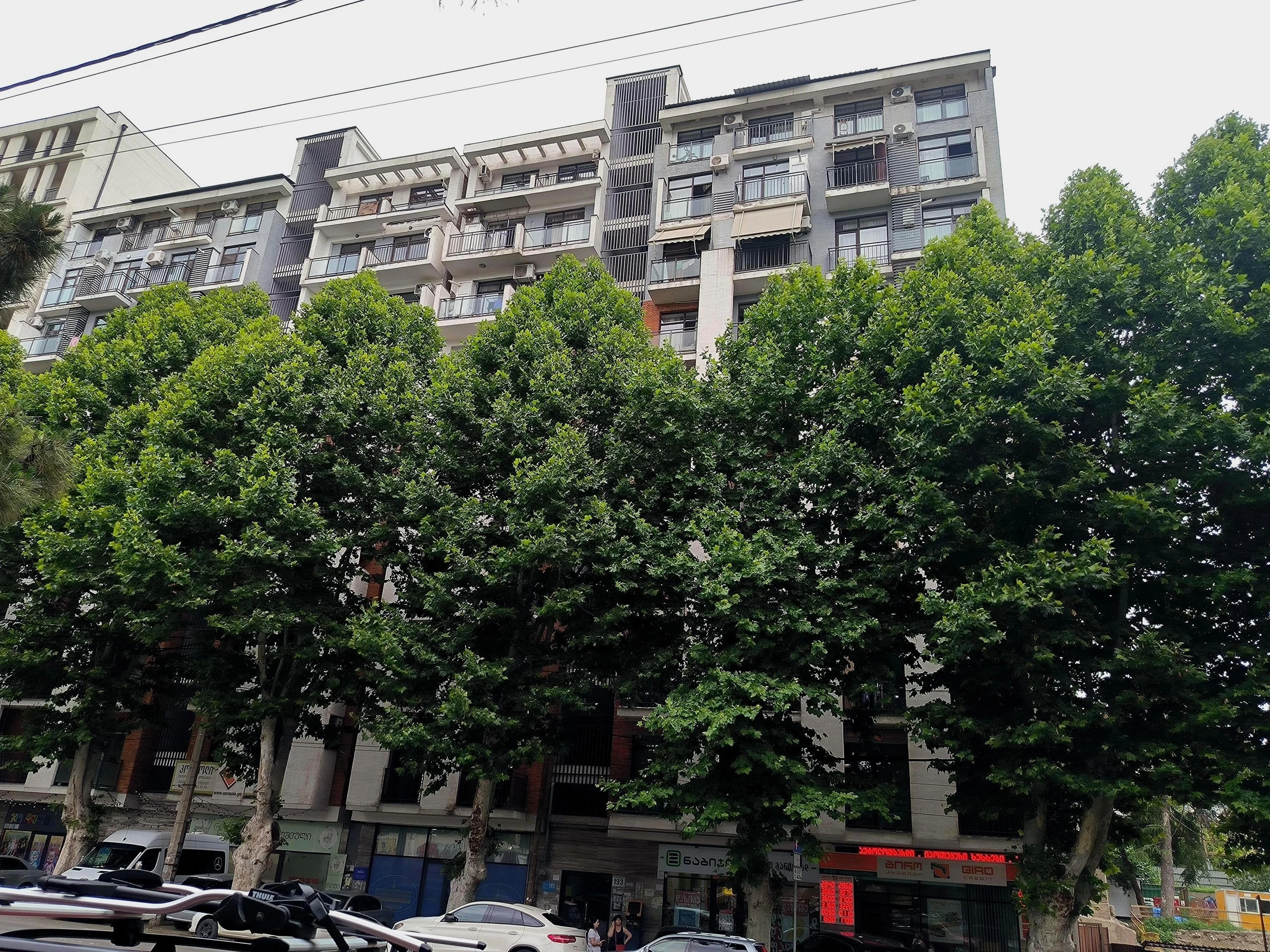 დადიანის ტყუპები