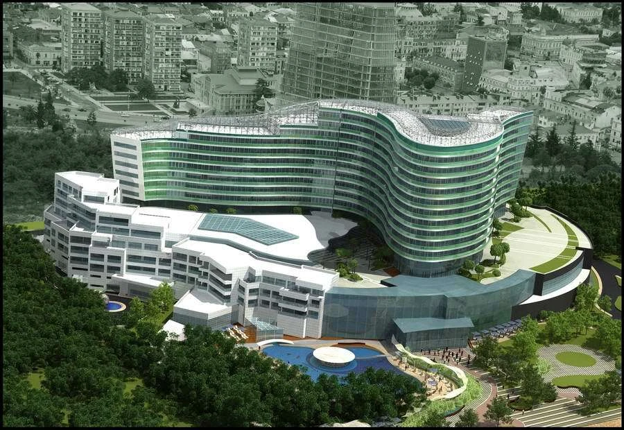 პალმის ბინები