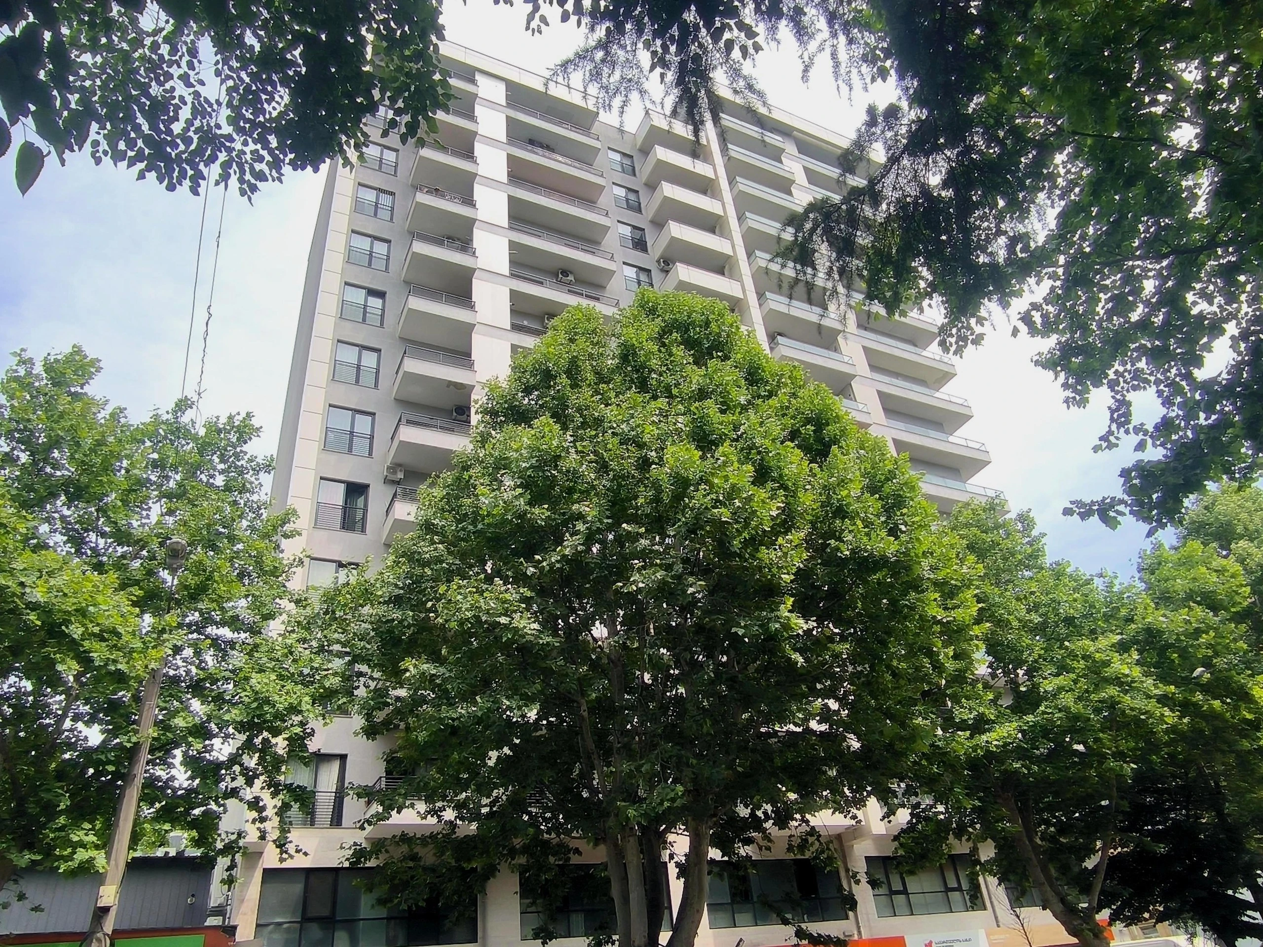 ცოტნე დადიანის ქუჩა 111