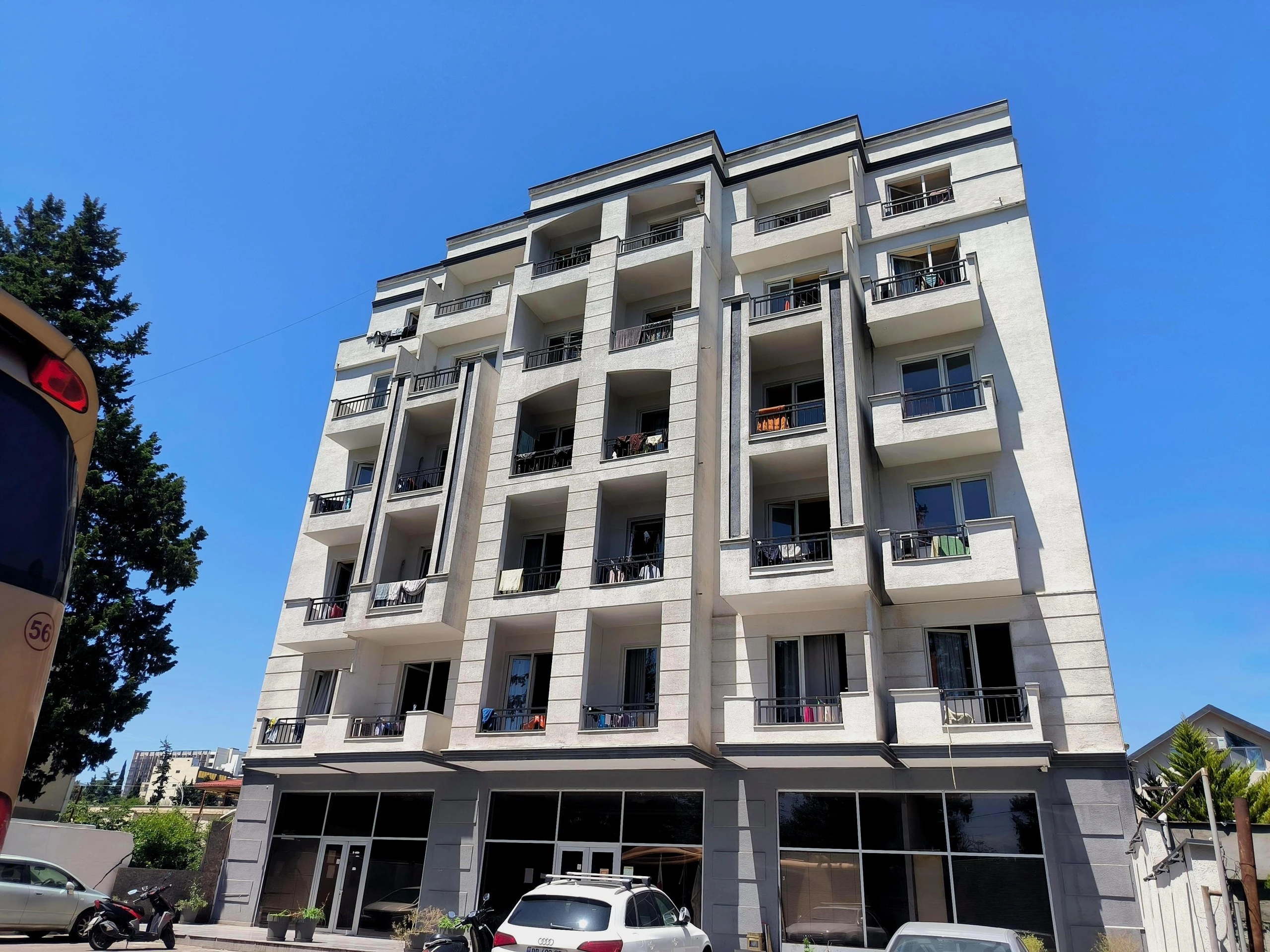 თბილი პარკი ტყის პარკში