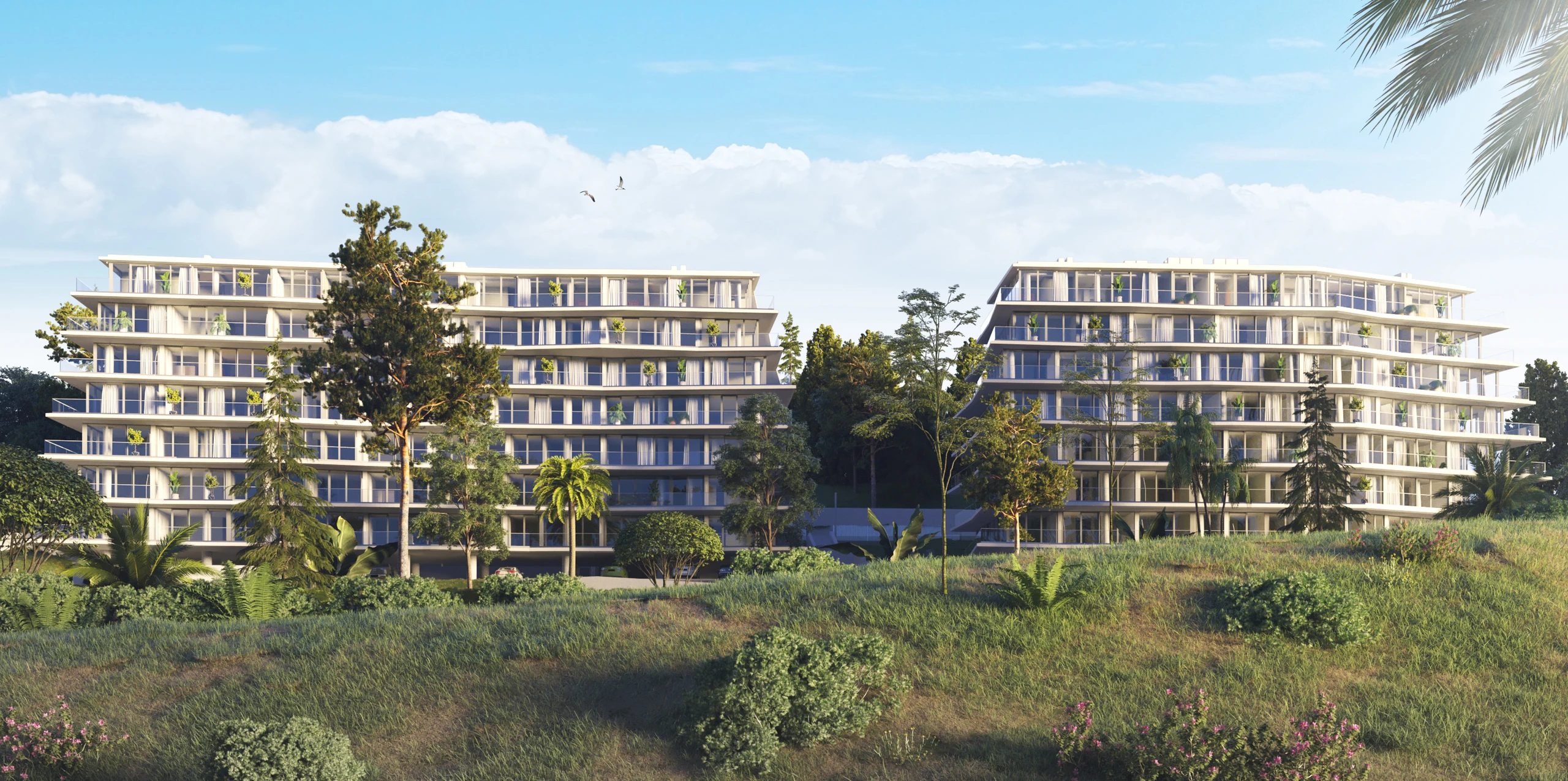 მწვანე კონცხი ბოტანიკო