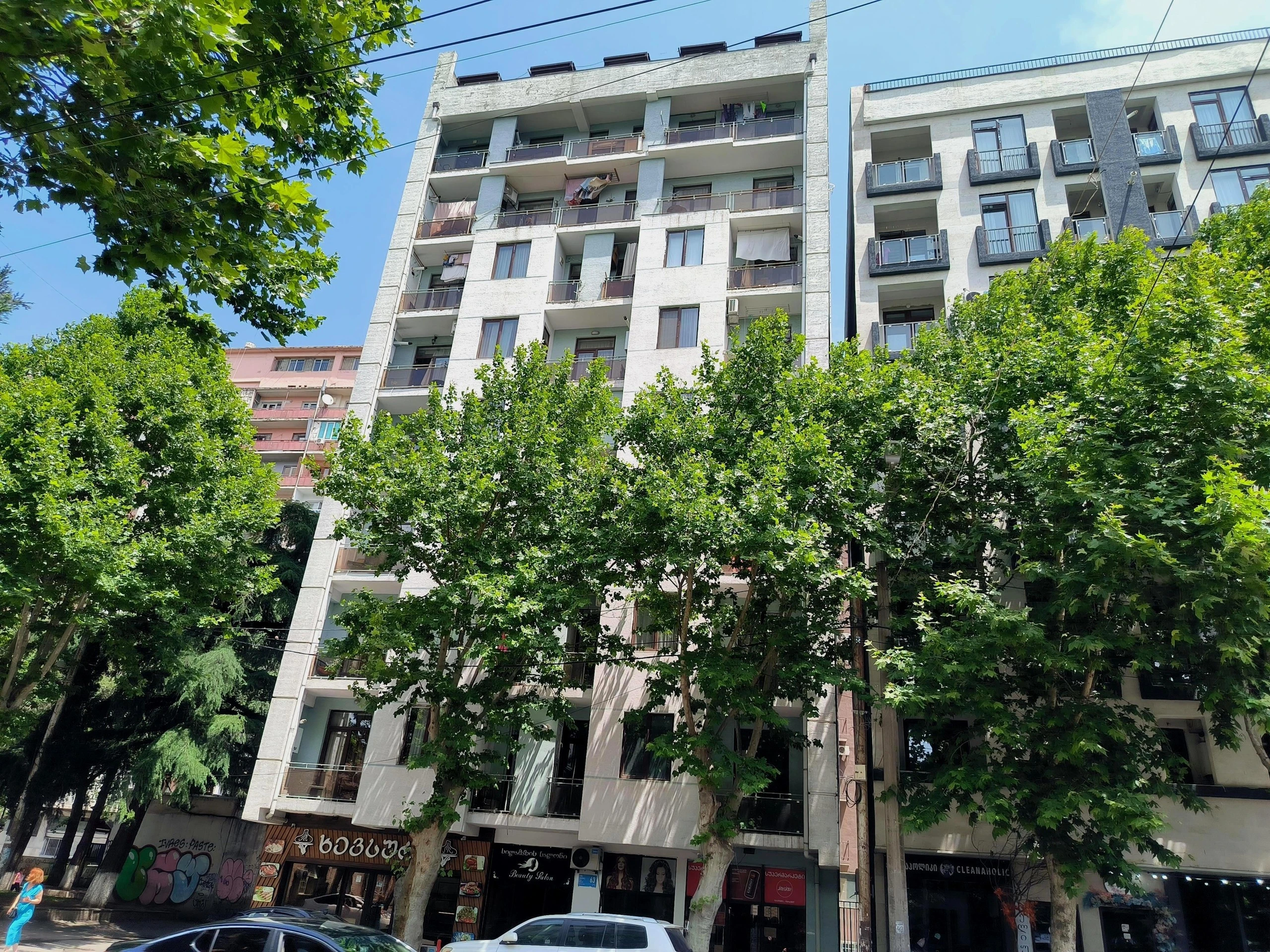 ბინადარი დადიანზე