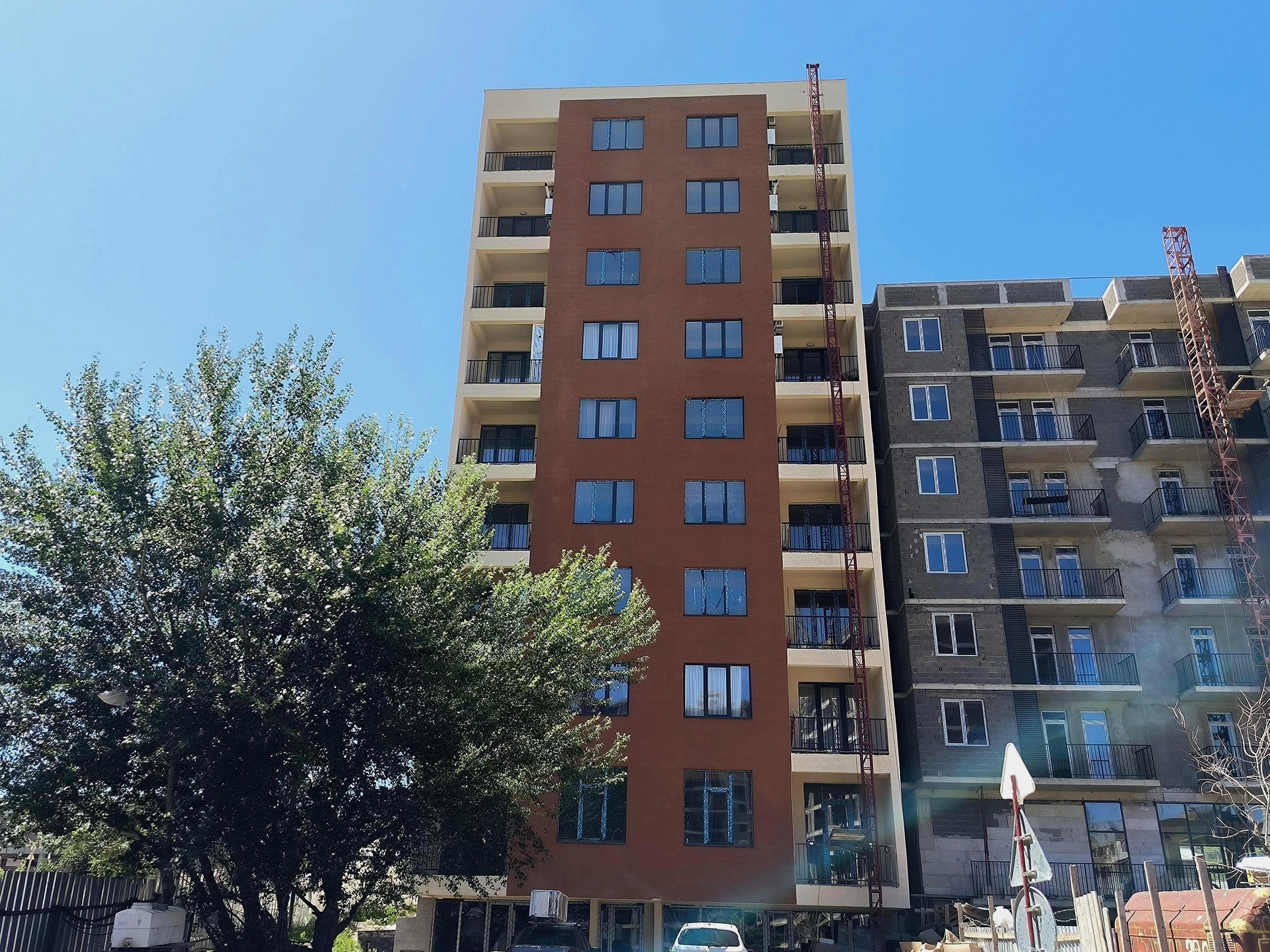 დემეტრე თავდადებულის ქუჩა 66